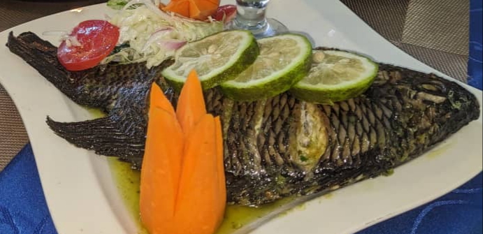 Gros poisson entier